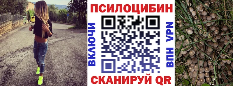 Галлюциногенные грибы мухоморы  хочу   Зея 